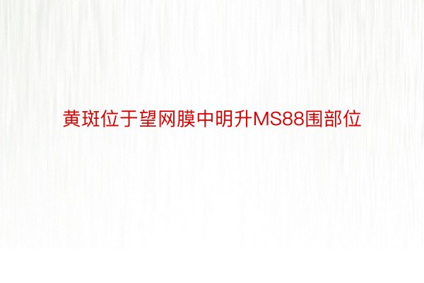 黄斑位于望网膜中明升MS88围部位